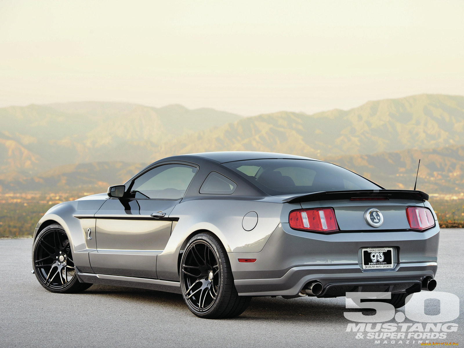 , mustang